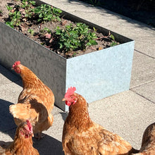 Indlæs billede til gallerivisning Galvaniseret højbed 50 x 100 cm