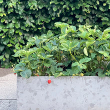 Indlæs billede til gallerivisning Galvaniseret Højbed 100 x 200 cm